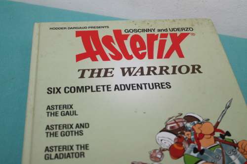 Asterix The Warrior