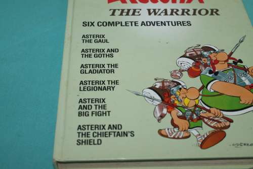 Asterix The Warrior