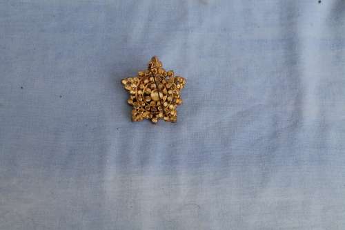 Costume Jewlery Brooch