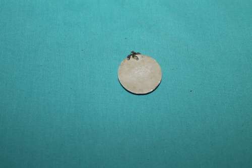 Vintage Pendant Blue and White