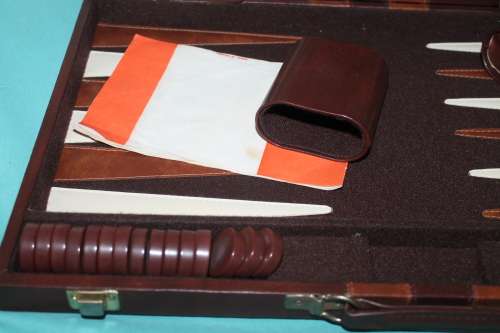 Backgammon in Case