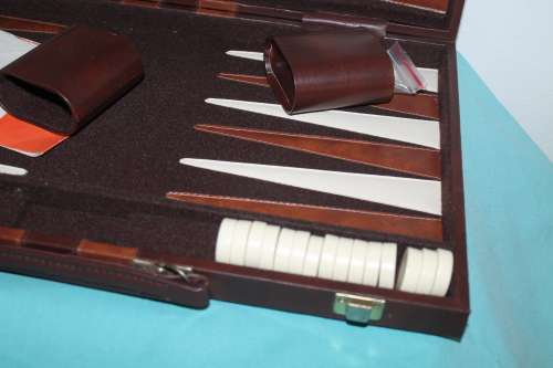 Backgammon in Case