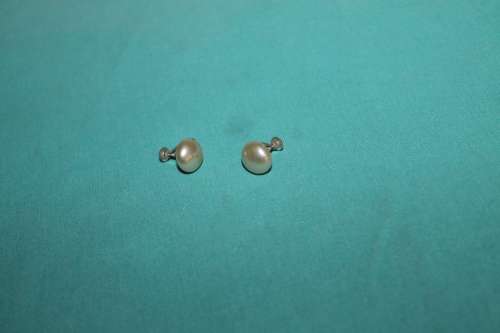 Vintage Screw on Earrings