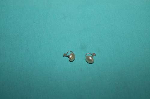 Vintage Screw on Earrings