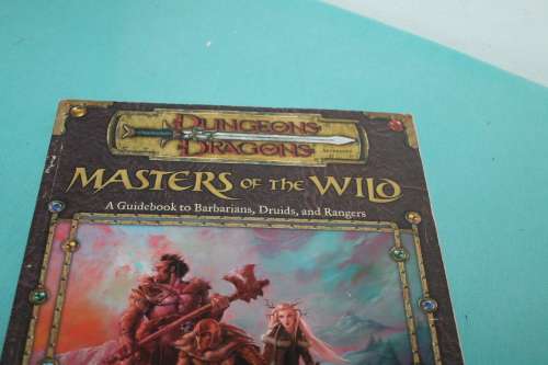 Dungeons and Dragons Masters of the Wild