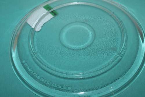 Microwave Plate 31 cm No 47