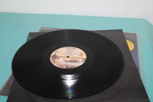 Jackson Browne Lawyers in Love