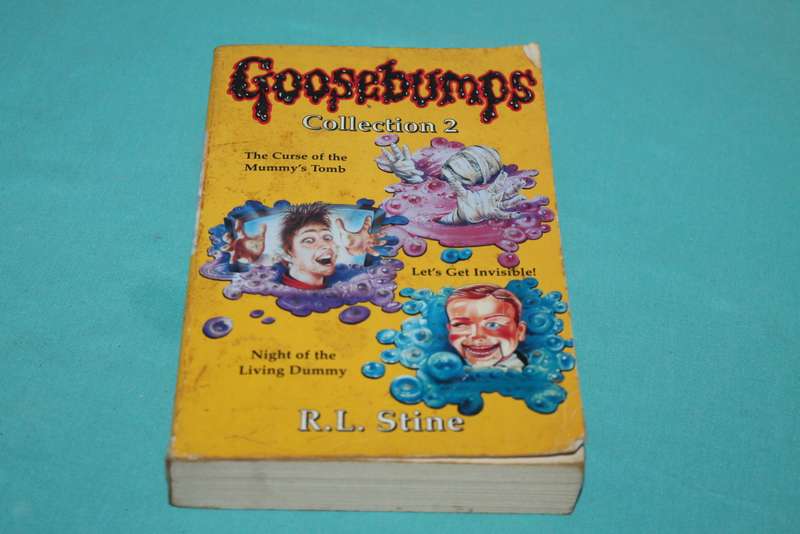 Goosebumps Collection 2 R L Stine