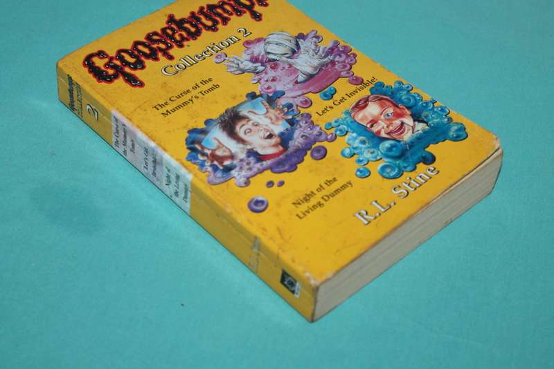 Goosebumps Collection 2 R L Stine