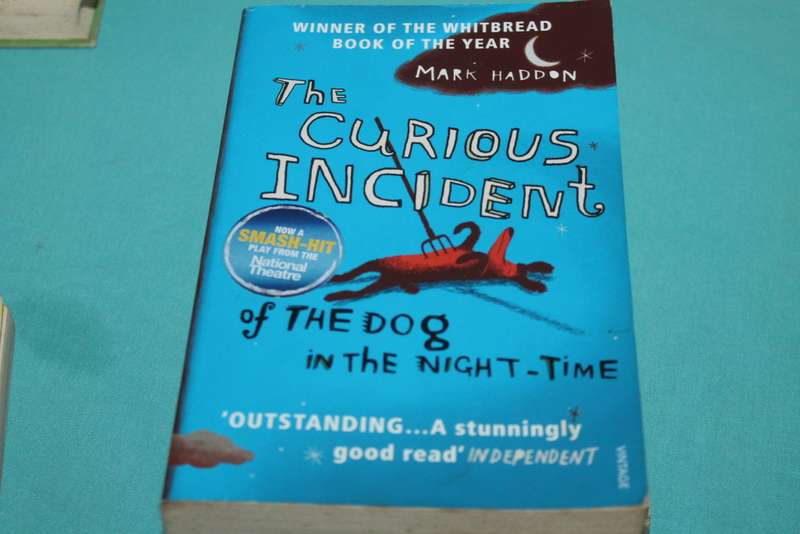 Mark Haddon The Curious Incident
