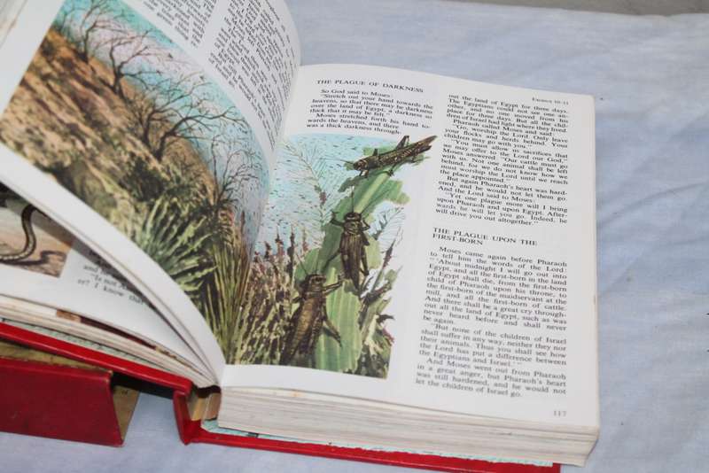The Children`s Bible in Colour