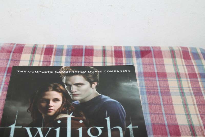 Twilight Illustrated Movie Companion