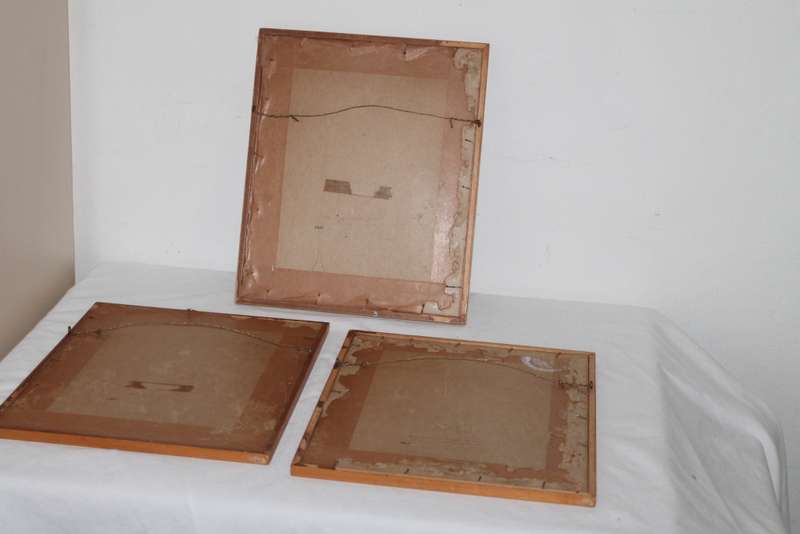3 Kent Cotrell Prints