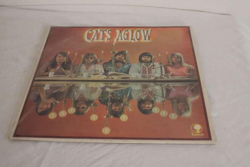 the Cats Aglow