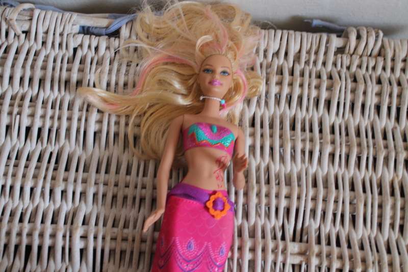 2 Ken dolls and 4 Barbies