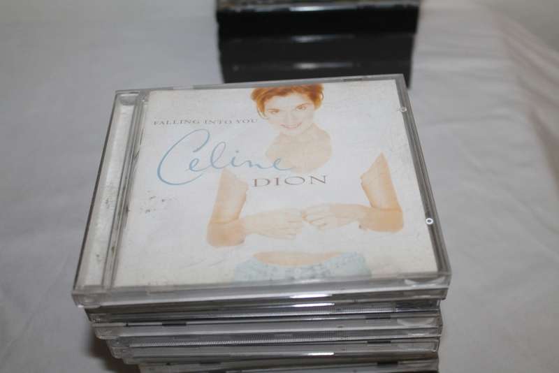Celine Dion Falling into you