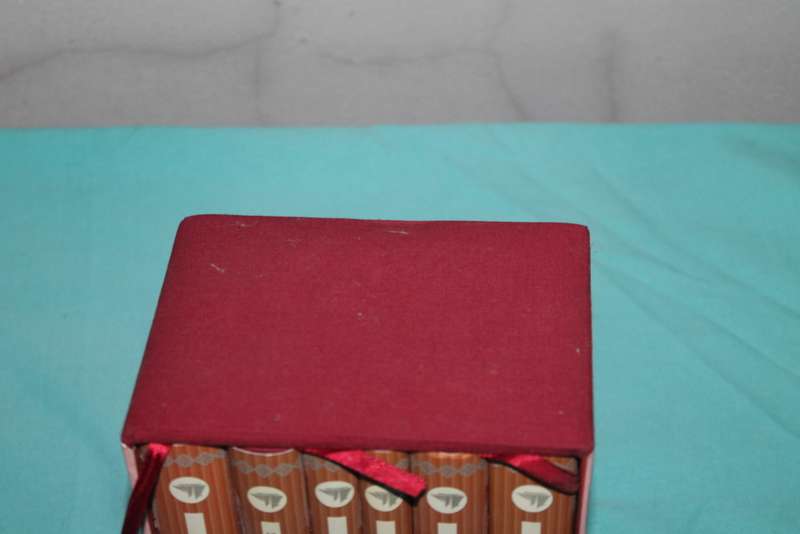 Jane Austin Collector`s Library Box Set 6 Books