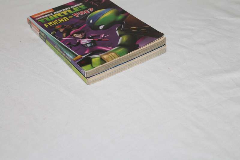 2 Books Teenage Mutant Ninja Turtles