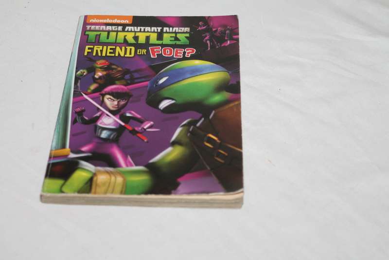 2 Books Teenage Mutant Ninja Turtles