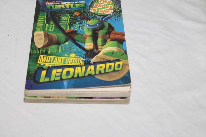 2 Books Teenage Mutant Ninja Turtles