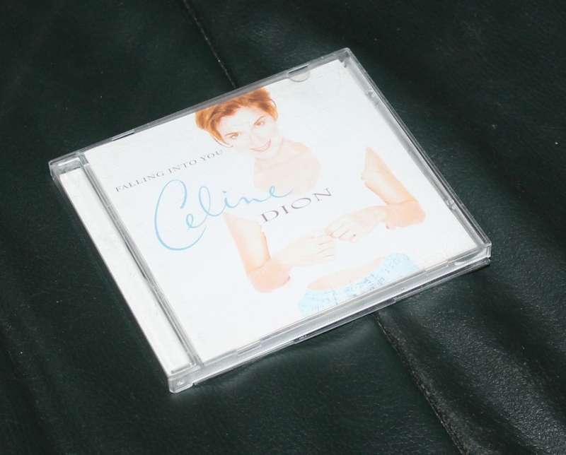 Celine Dion Falling into you