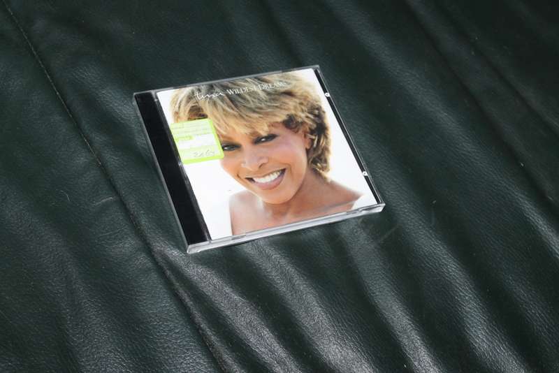 Tina Turner Wildest Dreams