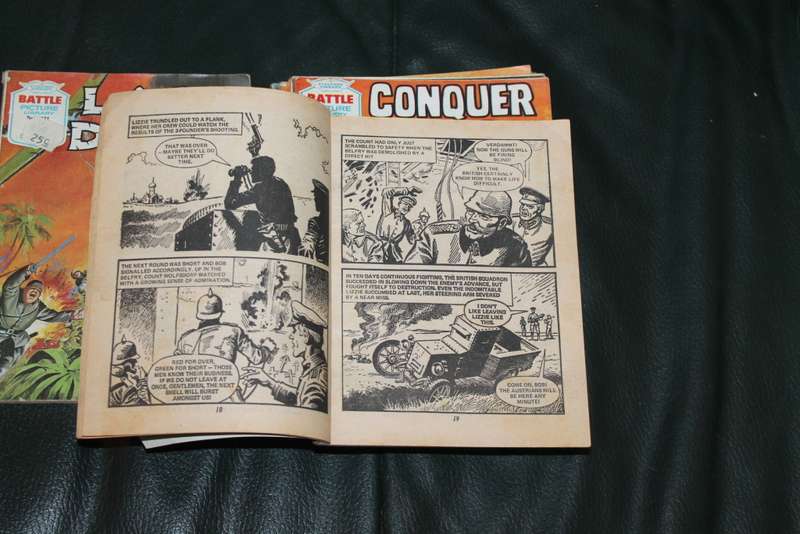10 Battle Picture books