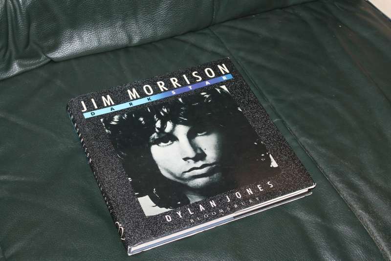 Jim Morrison Dark Star Dylan Jones