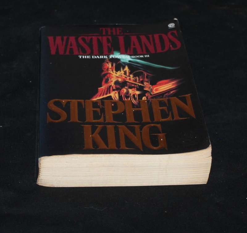 Stephen King the Waste Lands
