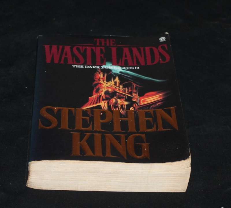 Stephen King the Waste Lands