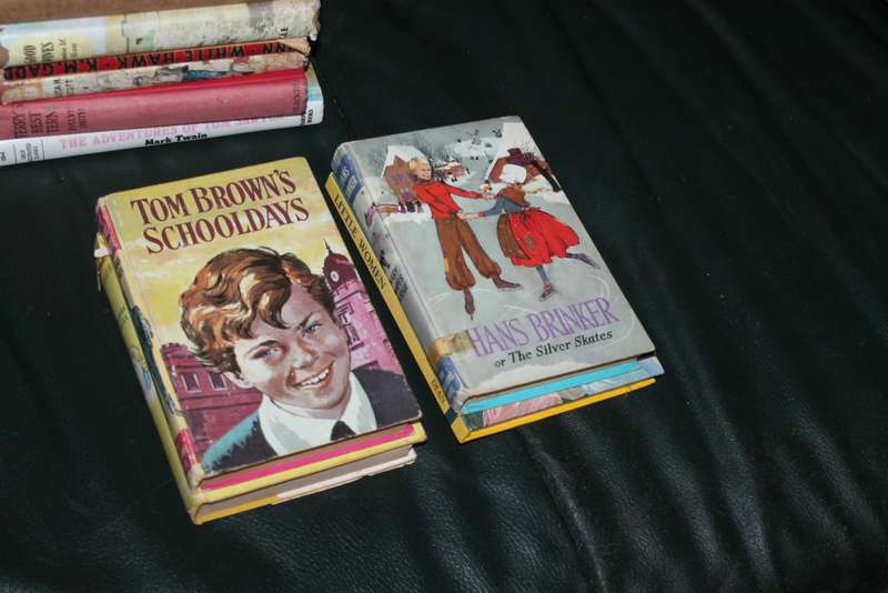 10 Assorted children's Classics