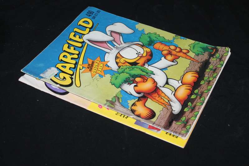 2 Garfield Comic Books