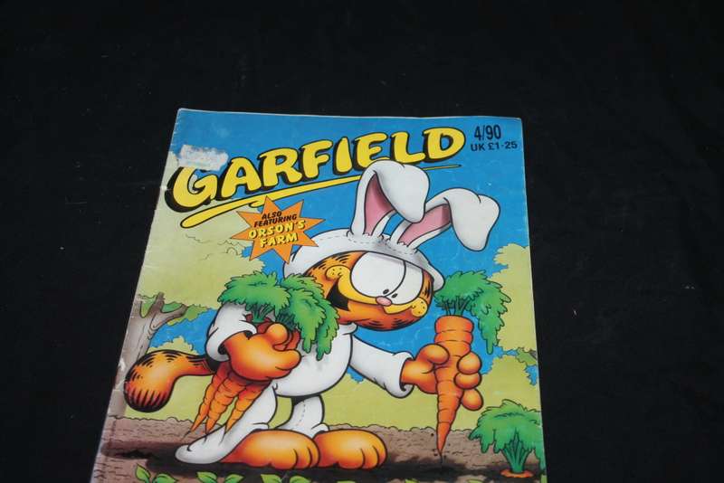 2 Garfield Comic Books
