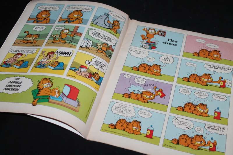 2 Garfield Comic Books