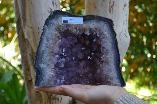 Amethyst Geode 1.70kg