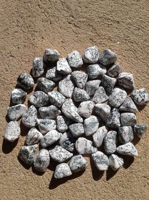 Tree Agate Tumble Stones