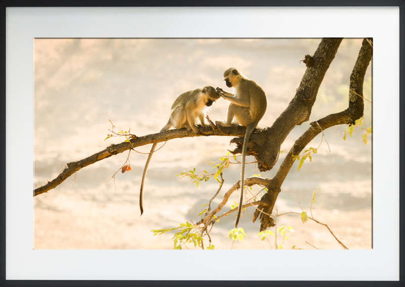 Golden Forest - Wildlife Print