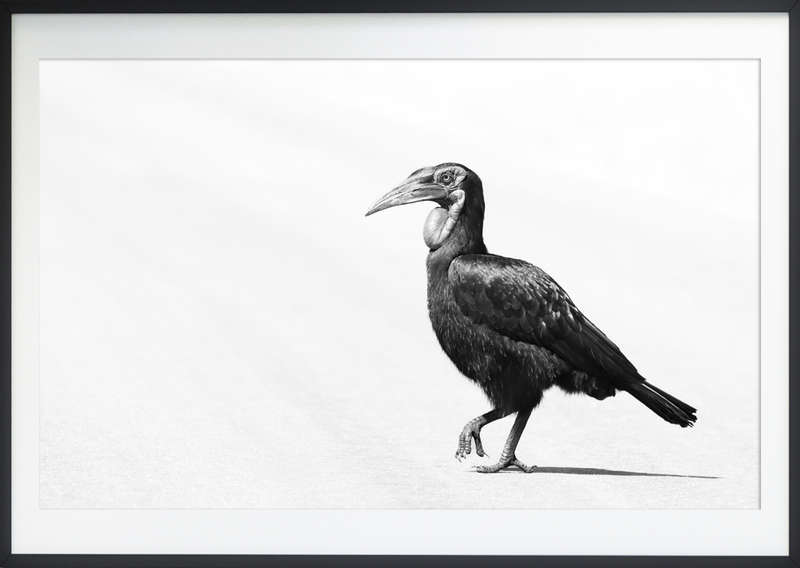Places to Be - Wildlife Print