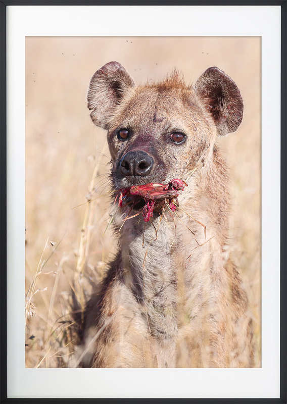 Left Overs - Wildlife Print