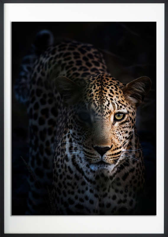 Blue Hour - Wildlife Print