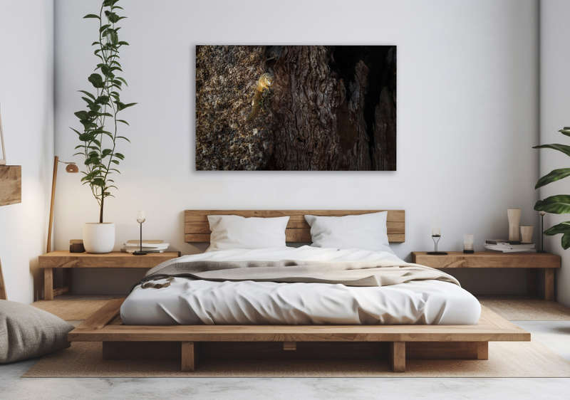 Squirrel's Perch - Wildlife Print