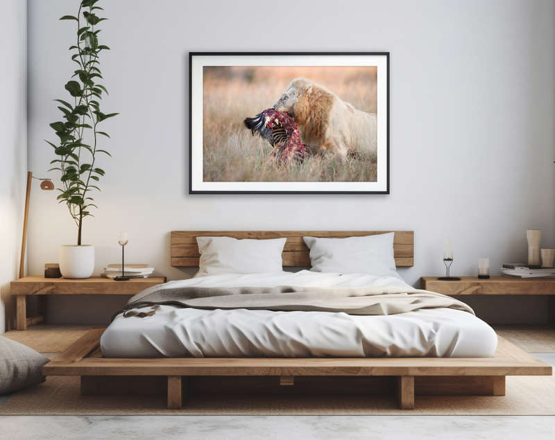 Ghost of Kruger - Wildlife Print