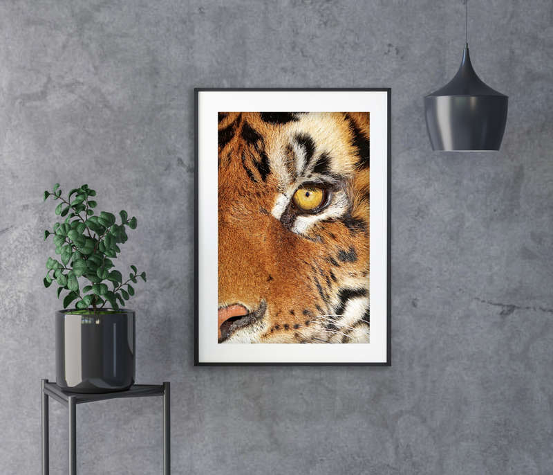 Eye of the Beast - Wildlife Print