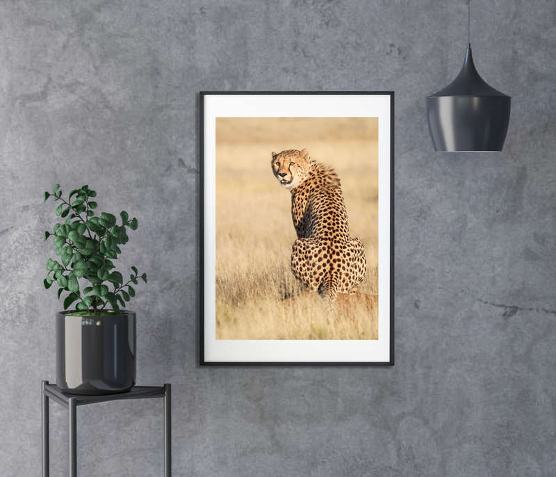 Sentinel - Wildlife Print
