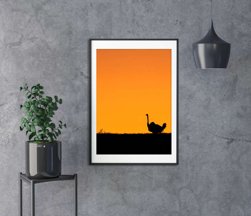 Sunset Wanderer - Wildlife Print
