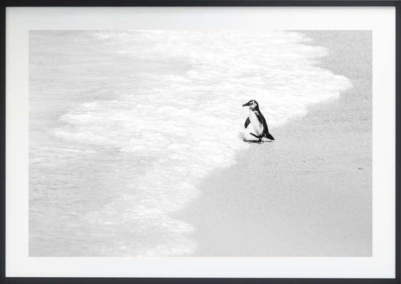 One Big Step - Wildlife Print