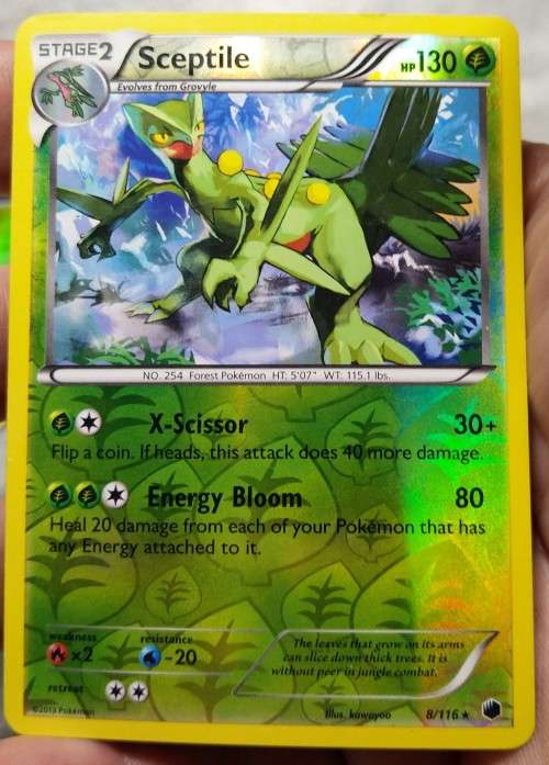 POKEMON CARDS - Sceptile - 8/116 - Holo Rare Reverse Holo - Plasma Freeze