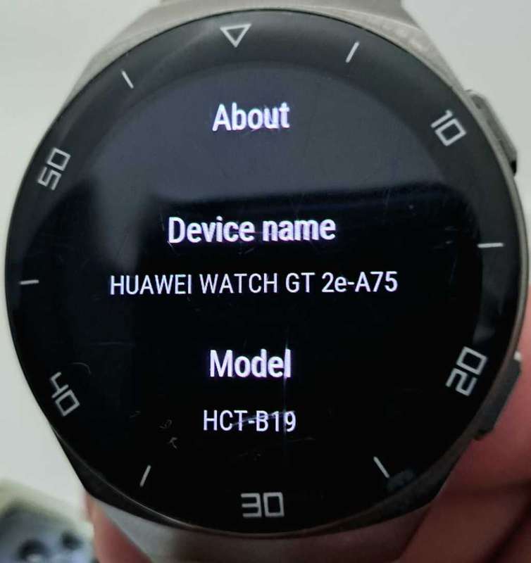 Huawei GT2e Smart Fitness watch