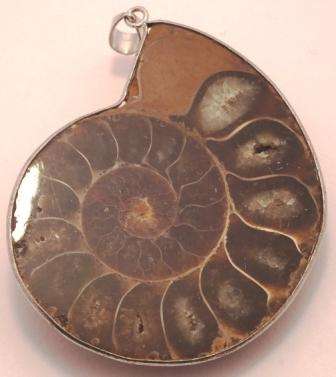 AMMONITE PENDANT