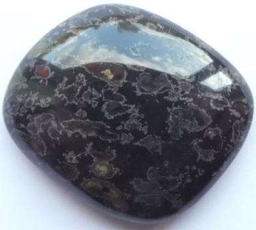 FASCINATING NATURAL FOSSIL CABOCHON - 48.85 ct